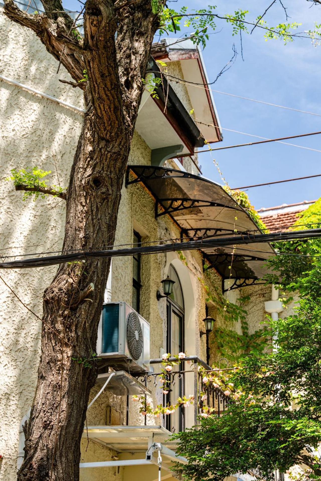 Shanghai Century Old House Downtown B&B Ngoại thất bức ảnh